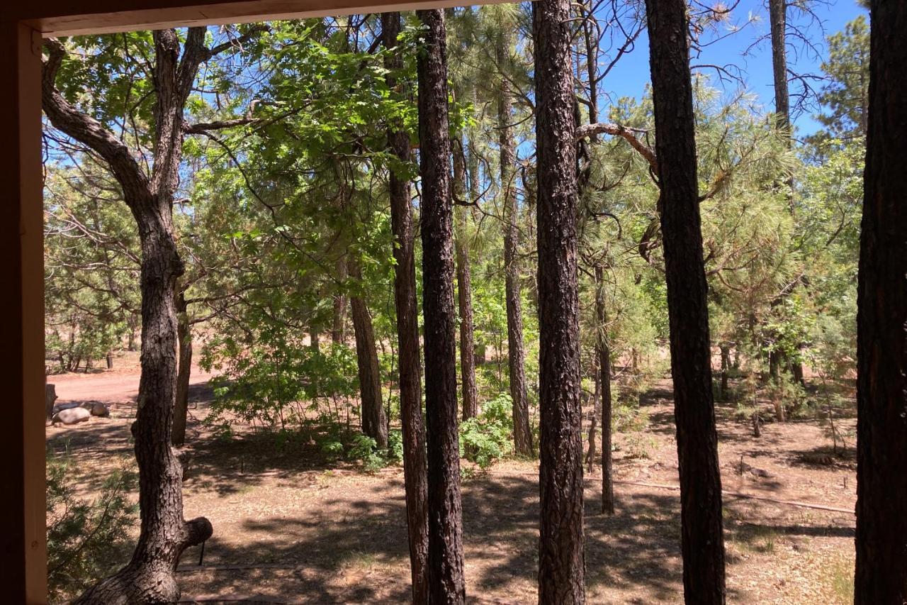 Vila Tranquil Pines Retreat Pinetop-Lakeside Exteriér fotografie